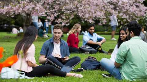 Group of students sitting on grass with trees in background 