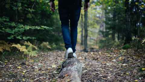 Image of legs and feet walking along a log on a forest path.